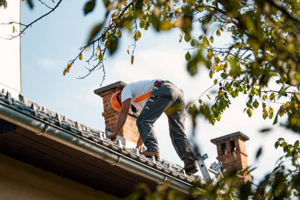 Quick and Trustworthy Emergency Roof Repair Services in Leesburg, FL